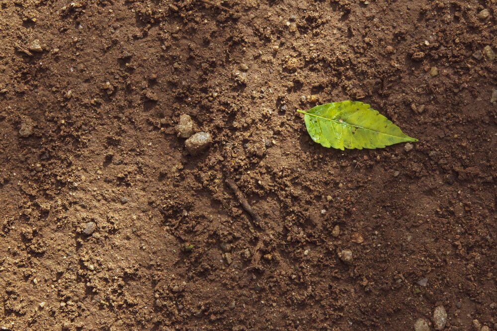 Soil science Soil science